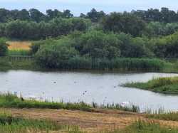  <a style='color: #fff;' href='/uploaded/photo/le-parc-du-merquenterre-vu-par-nicole-66a0b32e314cd.jpg'>(Télécharger)</a>