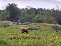  <a style='color: #fff;' href='/uploaded/photo/le-parc-du-merquenterre-vu-par-nicole-66a0b32e361e9.jpg'>(Télécharger)</a>