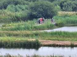  <a style='color: #fff;' href='/uploaded/photo/le-parc-du-merquenterre-vu-par-nicole-66a0b32e64c09.jpg'>(Télécharger)</a>