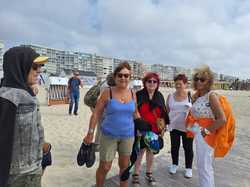  <a style='color: #fff;' href='/uploaded/photo/le-parc-du-merquenterre-vu-par-nicole-66a0b32eb98aa.jpg'>(Télécharger)</a>