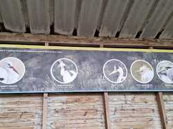  <a style='color: #fff;' href='/uploaded/photo/le-parc-du-merquenterre-vu-par-nicole-66a0b32f9aa17.jpg'>(Télécharger)</a>