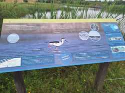  <a style='color: #fff;' href='/uploaded/photo/le-parc-du-merquenterre-vu-par-nicole-66a0b32fba104.jpg'>(Télécharger)</a>