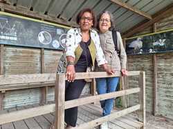  <a style='color: #fff;' href='/uploaded/photo/le-parc-du-merquenterre-vu-par-nicole-66a0b3301162f.jpg'>(Télécharger)</a>