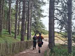  <a style='color: #fff;' href='/uploaded/photo/le-parc-du-merquenterre-vu-par-nicole-66a0b33090e65.jpg'>(Télécharger)</a>