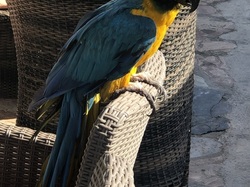  <a style='color: #fff;' href='/uploaded/photo/photos-de-la-crete-octobre-2021-61acc369e9930.jpg'>(Télécharger)</a>