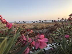  <a style='color: #fff;' href='/uploaded/photo/photos-de-la-crete-octobre-2021-61acc38dacaf0.jpg'>(Télécharger)</a>