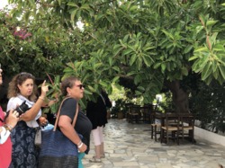  <a style='color: #fff;' href='/uploaded/photo/photos-de-la-crete-octobre-2021-61acf7a3aa83f.jpg'>(Télécharger)</a>