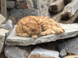  <a style='color: #fff;' href='/uploaded/photo/photos-de-la-crete-octobre-2021-61acfe655058c.jpg'>(Télécharger)</a>