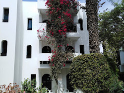 mini_prochain-voyage-au-maroc-les-jardins-d-agadir-63dcfa39df2dc.jpg