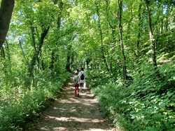  <a style='color: #fff;' href='/uploaded/photo/randonny-e-du-20-aoy-t-2023-vue-par-delphine-64e323a6af7b0.jpg'>(Télécharger)</a>