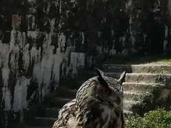  <a style='color: #fff;' href='/uploaded/photo/sortie-a-provins-du-3-juillet-2022-vue-par-agnes-62c7117aba3d7.jpg'>(Télécharger)</a>