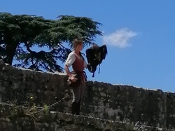  <a style='color: #fff;' href='/uploaded/photo/sortie-a-provins-du-3-juillet-2022-vue-par-agnes-62c7117db8b7d.jpg'>(Télécharger)</a>