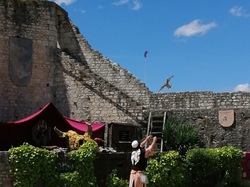  <a style='color: #fff;' href='/uploaded/photo/sortie-a-provins-du-3-juillet-2022-vue-par-agnes-62c7117f7d1d6.jpg'>(Télécharger)</a>