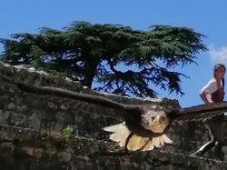  <a style='color: #fff;' href='/uploaded/photo/sortie-a-provins-du-3-juillet-2022-vue-par-agnes-62c7117f7e4d1.jpg'>(Télécharger)</a>