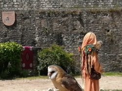  <a style='color: #fff;' href='/uploaded/photo/sortie-a-provins-du-3-juillet-2022-vue-par-agnes-62c711804a19a.jpg'>(Télécharger)</a>