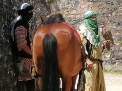  <a style='color: #fff;' href='/uploaded/photo/sortie-a-provins-du-3-juillet-2022-vue-par-agnes-62c711867505e.jpg'>(Télécharger)</a>