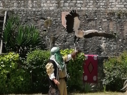  <a style='color: #fff;' href='/uploaded/photo/sortie-a-provins-du-3-juillet-2022-vue-par-agnes-62c7118c2cbd3.jpg'>(Télécharger)</a>