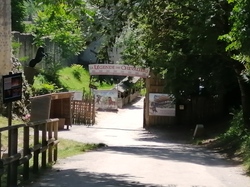  <a style='color: #fff;' href='/uploaded/photo/sortie-a-provins-du-3-juillet-2022-vue-par-agnes-62c7119fa32fa.jpg'>(Télécharger)</a>