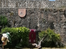  <a style='color: #fff;' href='/uploaded/photo/sortie-a-provins-du-3-juillet-2022-vue-par-agnes-62c711a0bc734.jpg'>(Télécharger)</a>