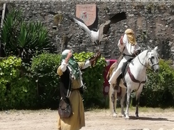  <a style='color: #fff;' href='/uploaded/photo/sortie-a-provins-du-3-juillet-2022-vue-par-agnes-62c711a28248a.jpg'>(Télécharger)</a>