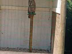  <a style='color: #fff;' href='/uploaded/photo/sortie-a-provins-vue-par-delphine-62c315762be1f.jpg'>(Télécharger)</a>