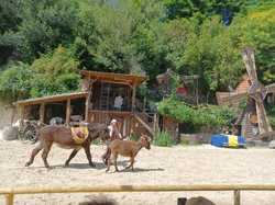  <a style='color: #fff;' href='/uploaded/photo/sortie-a-provins-vue-par-delphine-62c3157b36739.jpg'>(Télécharger)</a>