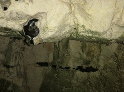  <a style='color: #fff;' href='/uploaded/photo/sortie-lewarde-et-arras-le-14-avril-2024-vue-par-agny-s-661d82cc507fc.jpg'>(Télécharger)</a>