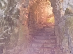  <a style='color: #fff;' href='/uploaded/photo/sortie-lewarde-et-arras-le-14-avril-2024-vue-par-agny-s-661d82cc84b34.jpg'>(Télécharger)</a>