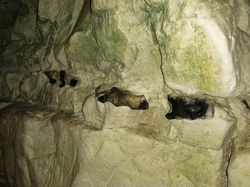  <a style='color: #fff;' href='/uploaded/photo/sortie-lewarde-et-arras-le-14-avril-2024-vue-par-agny-s-661d82cce7832.jpg'>(Télécharger)</a>