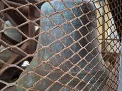  <a style='color: #fff;' href='/uploaded/photo/sortie-lewarde-et-arras-le-14-avril-2024-vue-par-nicole-66220c810c165.jpg'>(Télécharger)</a>