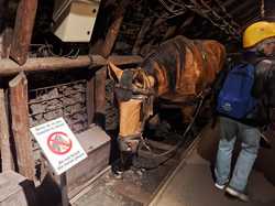  <a style='color: #fff;' href='/uploaded/photo/sortie-lewarde-et-arras-le-14-avril-2024-vue-par-nicole-66220c816c773.jpg'>(Télécharger)</a>