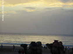  <a style='color: #fff;' href='/uploaded/photo/voyage-agadir-du-14-au-21-octobre-2023-vue-par-agny-s-654a1388ec7ae.jpg'>(Télécharger)</a>