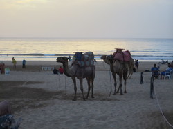  <a style='color: #fff;' href='/uploaded/photo/voyage-agadir-du-14-au-21-octobre-2023-vue-par-agny-s-654a138b62a22.jpg'>(Télécharger)</a>