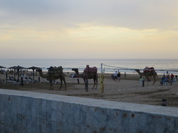  <a style='color: #fff;' href='/uploaded/photo/voyage-agadir-du-14-au-21-octobre-2023-vue-par-agny-s-654a138d74bd1.jpg'>(Télécharger)</a>