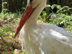  <a style='color: #fff;' href='/uploaded/photo/voyage-agadir-du-14-au-21-octobre-2023-vue-par-agny-s-654a1396d7800.jpg'>(Télécharger)</a>