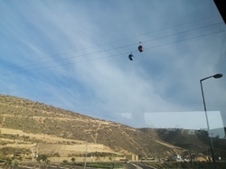  <a style='color: #fff;' href='/uploaded/photo/voyage-agadir-du-14-au-21-octobre-2023-vue-par-agny-s-654a139a758db.jpg'>(Télécharger)</a>