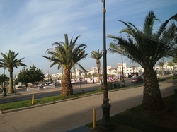  <a style='color: #fff;' href='/uploaded/photo/voyage-agadir-du-14-au-21-octobre-2023-vue-par-agny-s-654a139a9af94.jpg'>(Télécharger)</a>