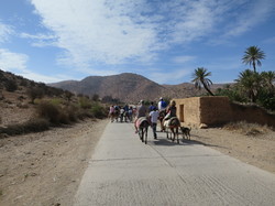  <a style='color: #fff;' href='/uploaded/photo/voyage-agadir-du-14-au-21-octobre-2023-vue-par-agny-s-654a139c6923a.jpg'>(Télécharger)</a>