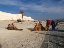  <a style='color: #fff;' href='/uploaded/photo/voyage-agadir-du-14-au-21-octobre-2023-vue-par-agny-s-654a139cc7fb3.jpg'>(Télécharger)</a>