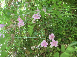  <a style='color: #fff;' href='/uploaded/photo/voyage-agadir-du-14-au-21-octobre-2023-vue-par-agny-s-654a139e5a0b2.jpg'>(Télécharger)</a>