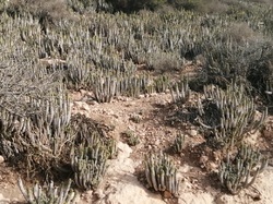  <a style='color: #fff;' href='/uploaded/photo/voyage-agadir-du-14-au-21-octobre-2023-vue-par-agny-s-654a139eb4731.jpg'>(Télécharger)</a>