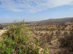  <a style='color: #fff;' href='/uploaded/photo/voyage-agadir-du-14-au-21-octobre-2023-vue-par-agny-s-654a13a015918.jpg'>(Télécharger)</a>