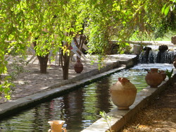  <a style='color: #fff;' href='/uploaded/photo/voyage-agadir-du-14-au-21-octobre-2023-vue-par-agny-s-654a13a2ee6c5.jpg'>(Télécharger)</a>