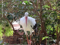  <a style='color: #fff;' href='/uploaded/photo/voyage-agadir-du-14-au-21-octobre-2023-vue-par-agny-s-654a13a5c5dca.jpg'>(Télécharger)</a>