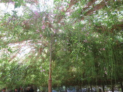  <a style='color: #fff;' href='/uploaded/photo/voyage-agadir-du-14-au-21-octobre-2023-vue-par-agny-s-654a13aa97921.jpg'>(Télécharger)</a>