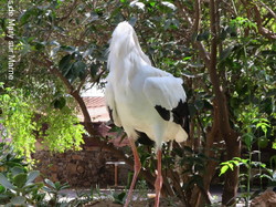  <a style='color: #fff;' href='/uploaded/photo/voyage-agadir-du-14-au-21-octobre-2023-vue-par-agny-s-654a13aaee111.jpg'>(Télécharger)</a>