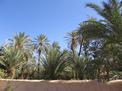  <a style='color: #fff;' href='/uploaded/photo/voyage-agadir-du-14-au-21-octobre-2023-vue-par-agny-s-654a13ab189af.jpg'>(Télécharger)</a>