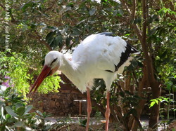  <a style='color: #fff;' href='/uploaded/photo/voyage-agadir-du-14-au-21-octobre-2023-vue-par-agny-s-654a13abc158a.jpg'>(Télécharger)</a>