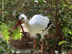  <a style='color: #fff;' href='/uploaded/photo/voyage-agadir-du-14-au-21-octobre-2023-vue-par-agny-s-654a13abd2171.jpg'>(Télécharger)</a>