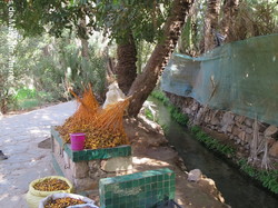  <a style='color: #fff;' href='/uploaded/photo/voyage-agadir-du-14-au-21-octobre-2023-vue-par-agny-s-654a13ac3afeb.jpg'>(Télécharger)</a>